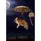 Jigsaw Puzzles For Adults 1000 Pieces Creative Cats Moon Night Flight Animals 75 * 50Cm