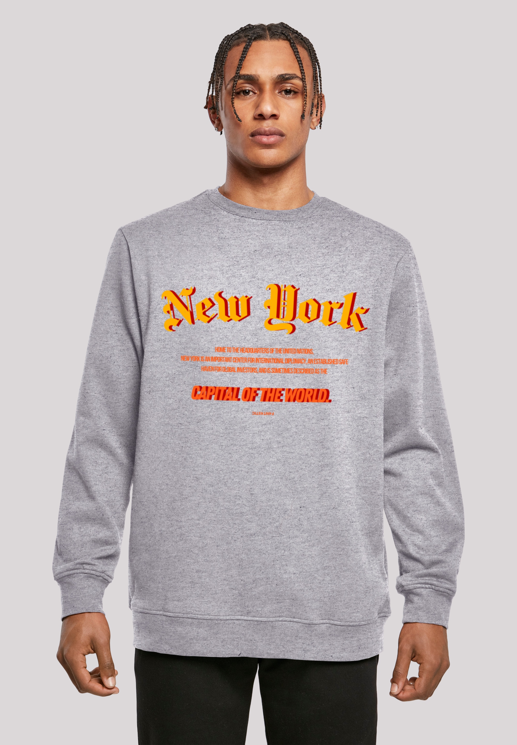Kapuzenpullover F4NT4STIC "New York CREW", Damen, Gr. 3XL, grau (erdgrau), Obermaterial: 50% Baumwolle, 50% Polyester, relaxed fit, Rundhals, Pullover Kapuzenpullover, Print