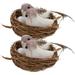 8pcs Easter Home Decoration Artificial Bird Nest Ornament Bird Model Nest Bird Egg Set (2pcs Bird Nest 4pcs Birds 2pcs Bird Eggs)