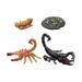 Growth Cycle Model Toy Scorpion Life Cycle Model Learning Prop Montessori Realistic Cognitive Toy Animals Life Cycle Set for Storytelling Style B