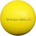 SMUSH BALLS - The Ultimate Anywhere Batting Practice Baseball Softball Training Ball (Yellow 24-Pack + Bag)