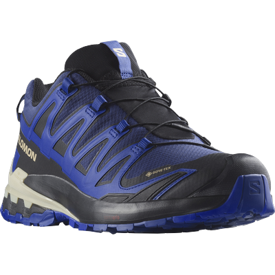 Trailrunningschuh SALOMON "XA PRO 3D V9 GORE-TEX", Gr. 41, blau, Synthetik, Textil, sportlich, Schuhe, wasserdicht