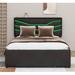 Brayden Studio® Byrle Queen Size Upholstered Storage Platform Bed w/ LED & USB Charging Upholstered, in Black | 44.1 H x 64.2 W x 83.1 D in | Wayfair