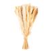 Primrue Illinois Pampas Grass Floral Arrangement | 18 D in | Wayfair DADEA9F4323E44B1BED9CD52B5DF8F39