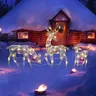 Décor de noël en forme de renne 2D avec lumières Led pour une famille de rennes pour une cour
