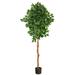 Nearly Natural 6 Ficus Artificial Tree - 6