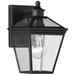 Ellijay 1-Light Outdoor Wall Lantern in Black