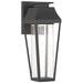 Brookline LED Outdoor Dark Sky Wall Lantern in Matte Black