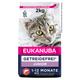 2kg Rich in Salmon Grain Free Kitten Eukanuba Dry Cat Food