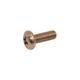 Screw for Creda Hotpoint/Cannon/Jackson Cookers and Ovens/Gas Fire