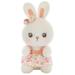 Rabbit Doll Toy - Fully Filled Cute Floral Dress Bunny Doll Plushie Bedroom Decoration Soft Plush Rabbit Doll Stuffed Cartoon Animal Toy Birthday Gifts