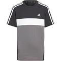 ADIDAS Kinder Shirt Tiberio 3-Streifen Colorblock Cotton Kids, Größe 176 in Grau