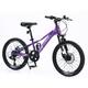 Mountain Bike 20 Inch Kids Bicycle Gear Shimano 7 Speed Bike for Boys and Girls Purple
