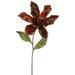 Vickerman 22 Chocolate Velvet Magnolia Artificial Christmas Pick 3 per Bag