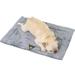 DYstyle Pet Supply Winter Pet Blankets Mat Quilted Fleece Heated Thickened Warm Non-slip Dog Pad Skin-Friendly Pet Blanket