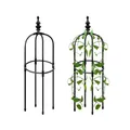 Cages en métal pour plantes extérieures supports de vigne d'intérieur tour de plantes décoration