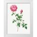 Redoute Pierre Joseph 12x14 White Modern Wood Framed Museum Art Print Titled - Autumn China Rose Autumn Bengal Rosa indica automnalis