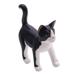 Curious Tuxedo Cat,'Balinese Signed Hand-Carved Tuxedo Cat Sculpture'