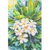 White Frangipani II,'Signed Impressionist Watercolor Painting of White Flowers'