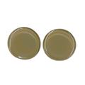 Army Green,'Recycled Fused Glass Button Earrings in Army Green'