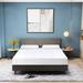 Queen Medium 10" Memory Foam Mattress - Alwyn Home Briese Green Tea Infused Multiple Profile Heights | 80 H x 60 W 10 D in Wayfair