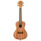 Kala Mandy Harvey Concert Ukulele