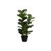 "Artificial Plant- 32"" Tall- Fiddle Tree- Indoor- Faux- Fake- Floor- Greenery- Potted- Real Touch- Decorative- Green Leaves- Black Pot-Monarch Specialties I 9511"