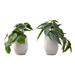 "Artificial Plant- 8"" Tall- Alocasia- Indoor- Faux- Fake- Table- Greenery- Potted- Set Of 2- Decorative- Green Leaves- White Cement Pots-Monarch Specialties I 9582"