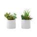 "Artificial Plant- 7"" Tall- Succulent- Indoor- Faux- Fake- Table- Greenery- Potted- Set Of 2- Decorative- Green Plants- White Ceramic Pots-Monarch Specialties I 9588"