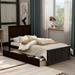 Twin Size Platform Bed with 2 Drawers, Storage Bed Frame,Wood Platform Bed with Headboard with Slat Support, No Box Spring Need