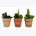 Youngs 10826 Artificial Succulent Garden in Resin Pot Assorted Color - 3 Piece