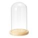 Uxcell 7.5 x3.9 Clear Cloche Glass Dome Glass Bell Jar Display Case Tabletop Centerpiece with Wooden Base