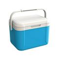TERGAYEE Cooler Bag 5 Liter Personal Portable Insulated Hard Leakproof Lunch Cooler Camping Cooler for Beverage fruit Travel Hiking Barbecue Fishing Picnic