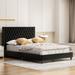 House of Hampton® Insignares Platform Bed Upholstered/Velvet in Black | 50 H x 84 W x 86 D in | Wayfair 94B3777602A24A24A72491C4F9102663