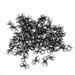 FRCOLOR 144pcs 3.8x2.5cm Halloween Black Spider Ring Halloween Props Decoration Rings Toys (Black)