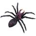 FRCOLOR 1 Pc Simulation Black Spider Props Halloween Spider Prank Props Spider Toys