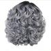 Gray Wigs Human Hair Short Curly Wig Women s Full Wig Wig Cool Styling Wig Fashion wig Human Hair Wig