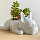 Dog Succulent Planter Resin Dog Succulent Planter Mini Puppy Air Plant Planter French Bulldog Shape Cute Bonsai Flower Pots for Home Garden Office Desktop Decor (No Plants) White