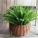 Party Home better vases pots Fake flower large outdoors Silk ferns outdoor large Office Decor Artificial Flower For Outdoor 7 Lifelike Large Silk Fern Green Home Decoration Suitable Bedroom