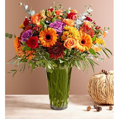 1-800-Flowers Seasonal Gift Delivery Garden Of Grandeur For Fall Xl