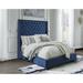 Signature Design by Ashley Coralayne Blue Upholstered Bed