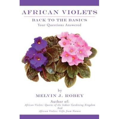 African Violets Back To The Basics: Your Questions...