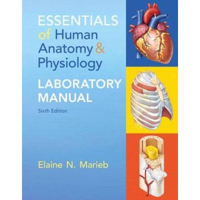 Essentials Of Human Anatomy & Physiology Laboratory Manual