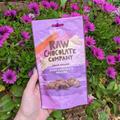 Dark Chocolate Raisins by Raw Chocolate Company