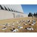 Air Force Academy Outside Training Building Shoes - Laminated Poster Print - 20 Inch by 30 Inch with Bright Colors and Vivid Imagery