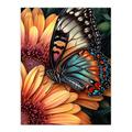 Butterfly On Daisy Flowers Pencil Spring Bloom With Insect Macro Close-Up Wing Pattern Vibrant Nature Colourful Bright Floral Modern Artwork Extra Large XL Wall Art Poster Print