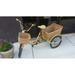 Rustic Basket Bike Tricycle - Laminated Poster Print -12 Inch by 18 Inch with Bright Colors and Vivid Imagery