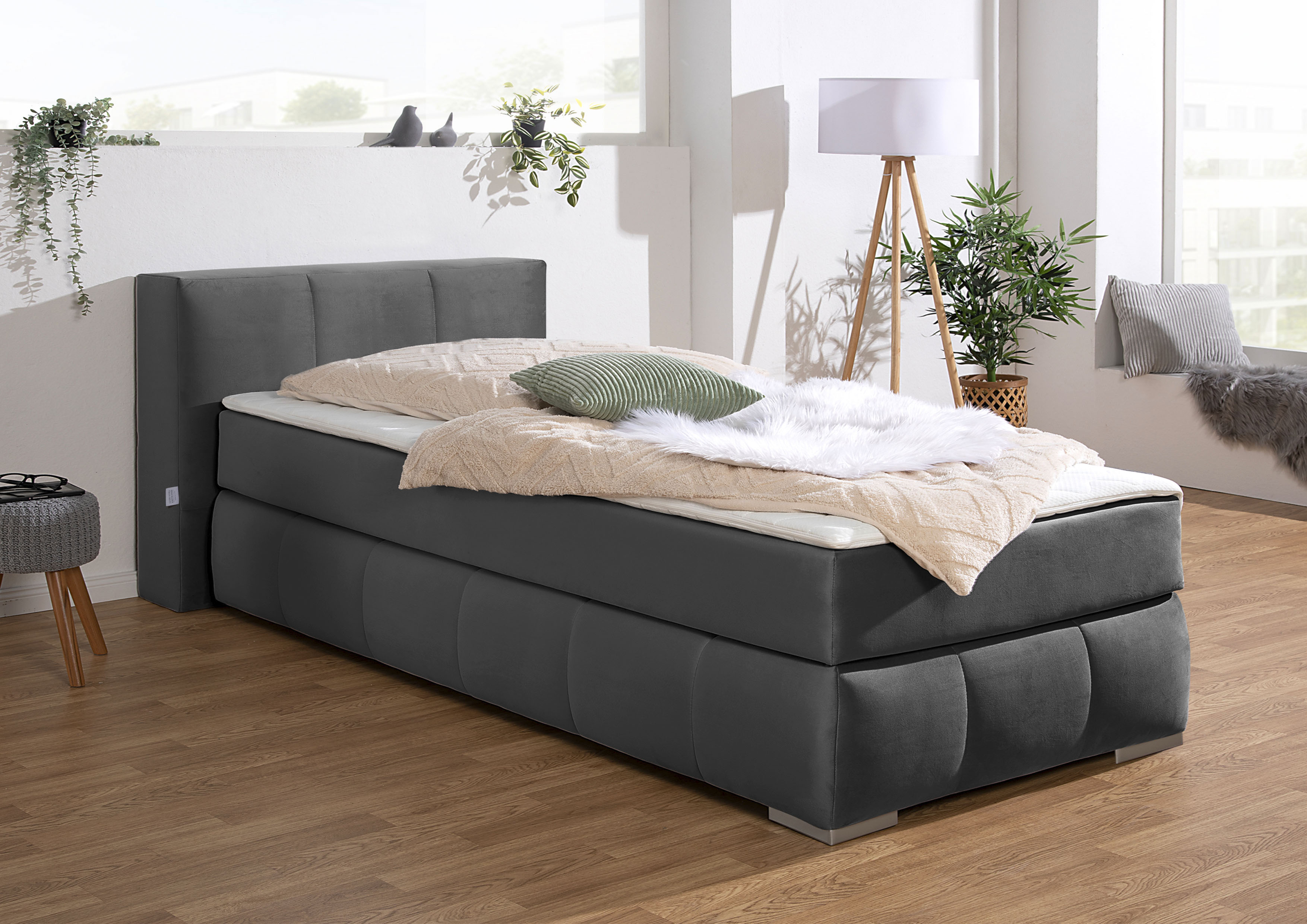 Boxspringbett HOME AFFAIRE "Chelles", grau (schiefer), B:107cm L:225cm, Samtoptik (100% Polyester);Bezug der Spiegelfläche Matratzendrell aus 100% Polyester;Struktur fein 100% Polyester), Komplettbetten, Boxspringbett, inkl. Kaltschaumtopper, in 5... Image