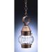 Northeast Lantern Onion 12 Inch Tall Outdoor Hanging Lantern - 2012-DB-MED-OPT