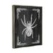 Stupell Industries Black & White Spider Framed On Wood by Lil' Rue Graphic Art Wood in Black/Brown | 31 H x 25 W x 1.7 D in | Wayfair